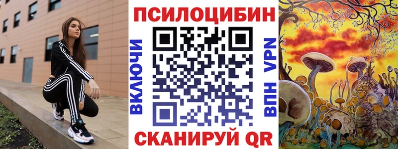 hydra tor  Сенгилей  Псилоцибиновые грибы Psilocybine cubensis 